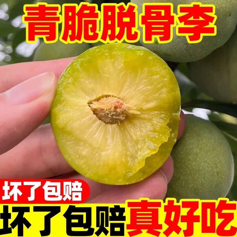正宗农家青脆脱骨李脆甜多汁新鲜现摘水果