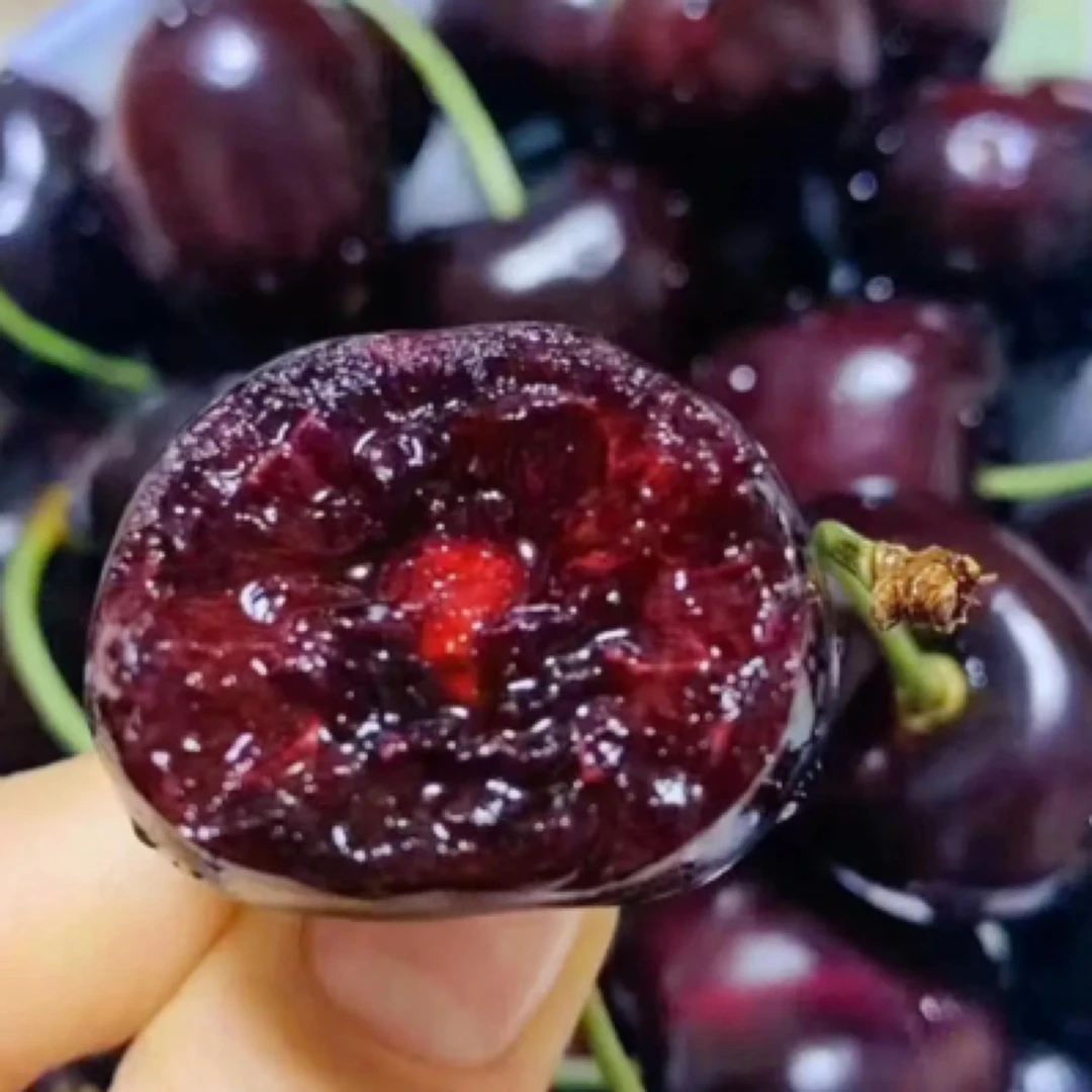 4JDD空运车厘子3斤礼盒装桑提娜智利