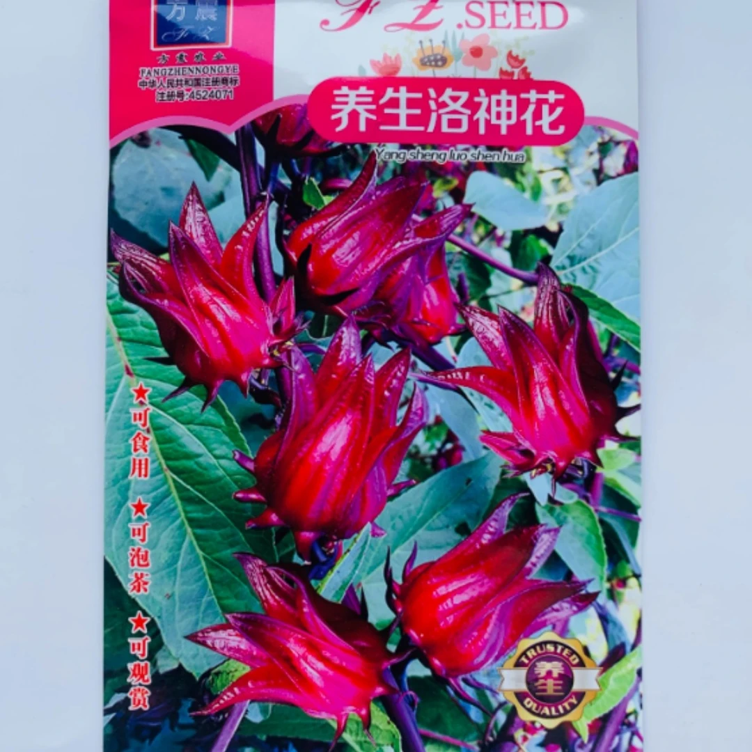 食用洛神花种子泡茶补血果玫瑰茄种子四季播阳台庭院盆栽花卉种子