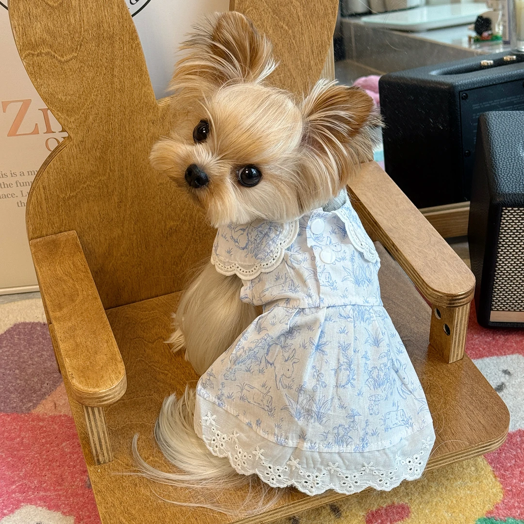 小甜粥宠物服狗狗衣服背心居家连衣裙小型犬约克夏狗狗夏季薄款