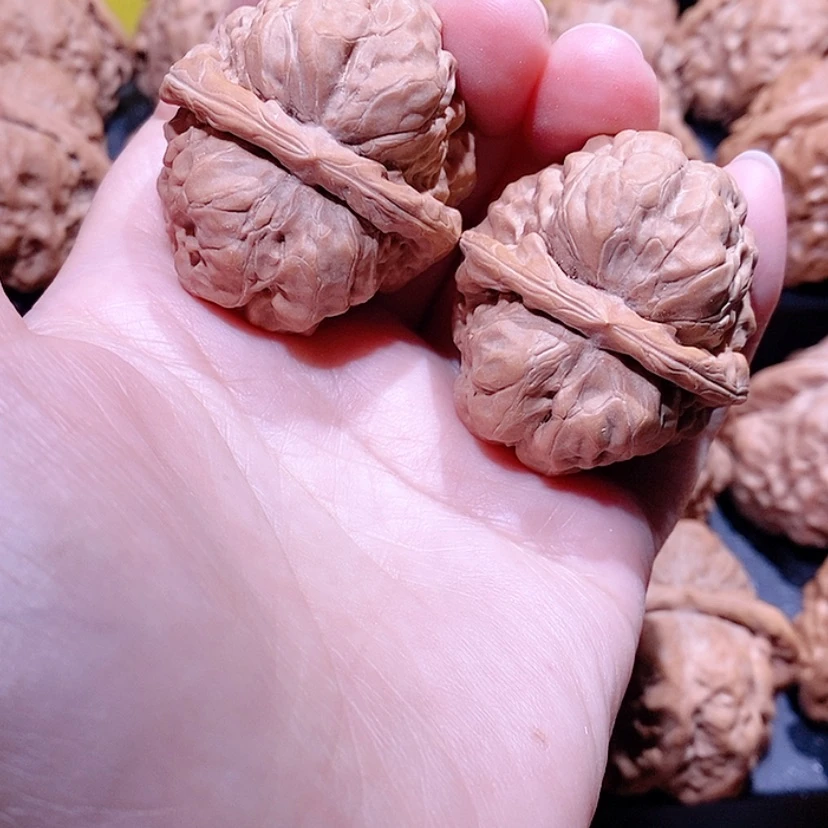 【闪购商品】核桃手串/手链边38蛤蟆头
