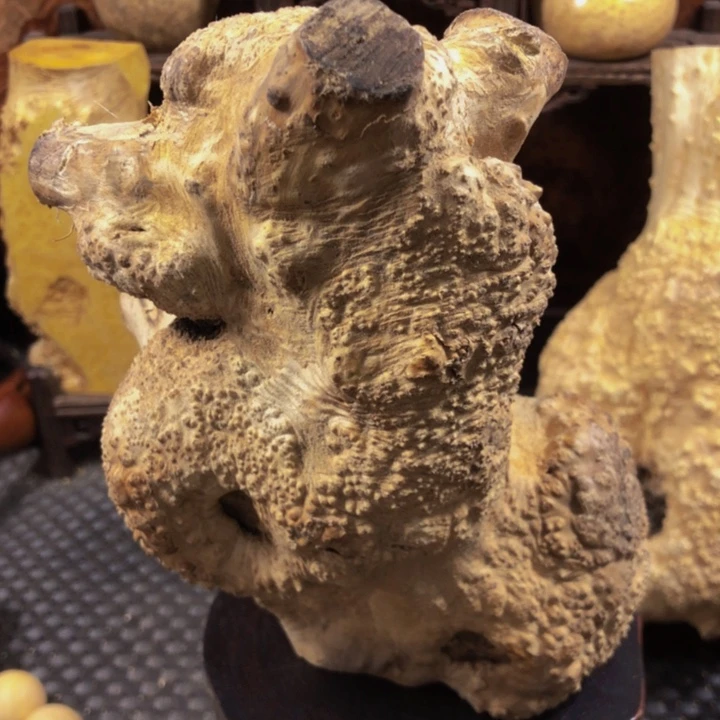 木?****?木料木料木料木料