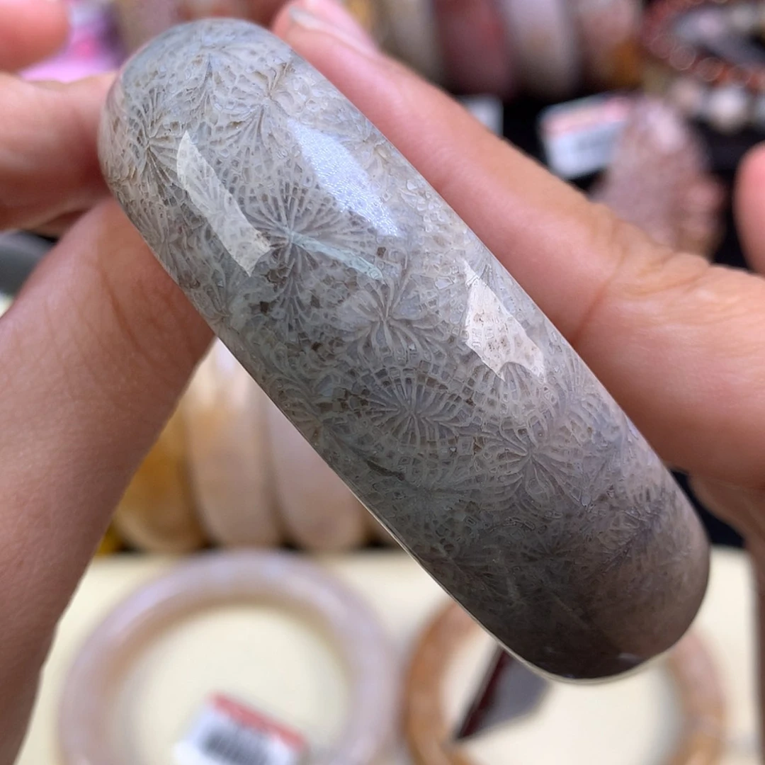 【闪购商品】颈饰未镶嵌硅化珊瑚（珊瑚玉）62号凤尾60.2圈