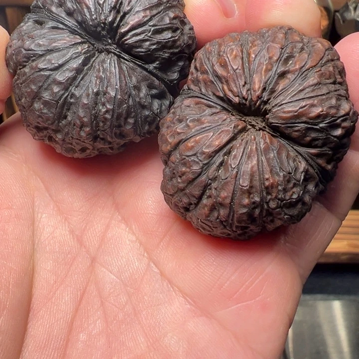 文玩核桃把件秦权44mm