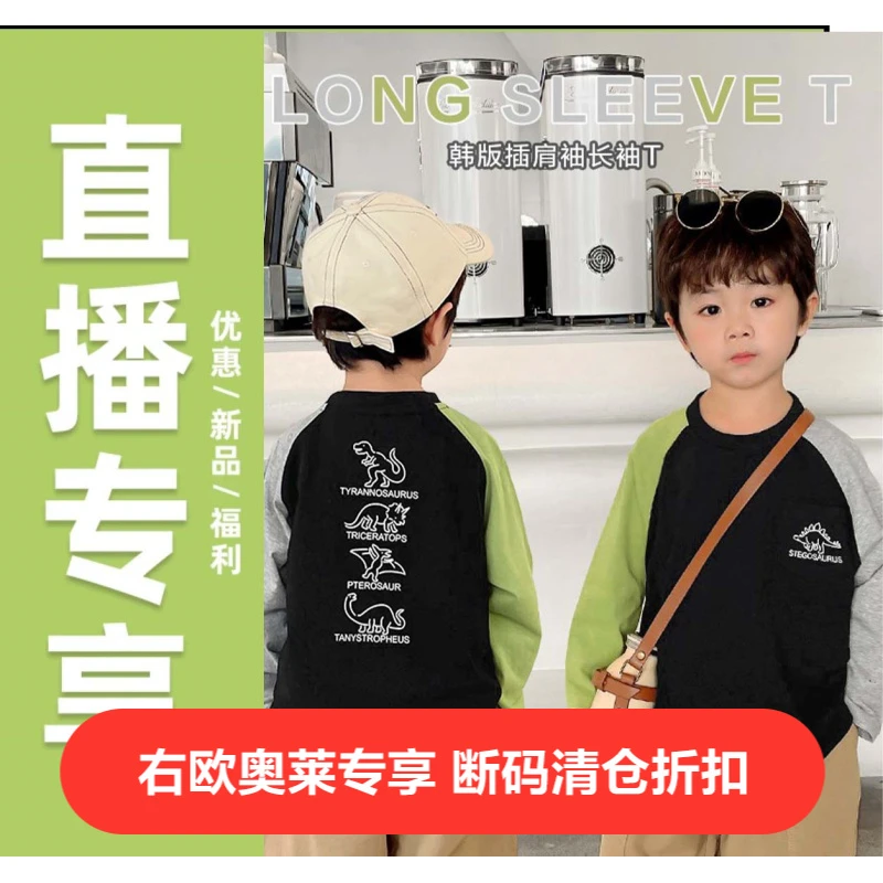 右欧【新品上新】男童山系长袖T恤秋装春童装打底衫上衣潮U14615