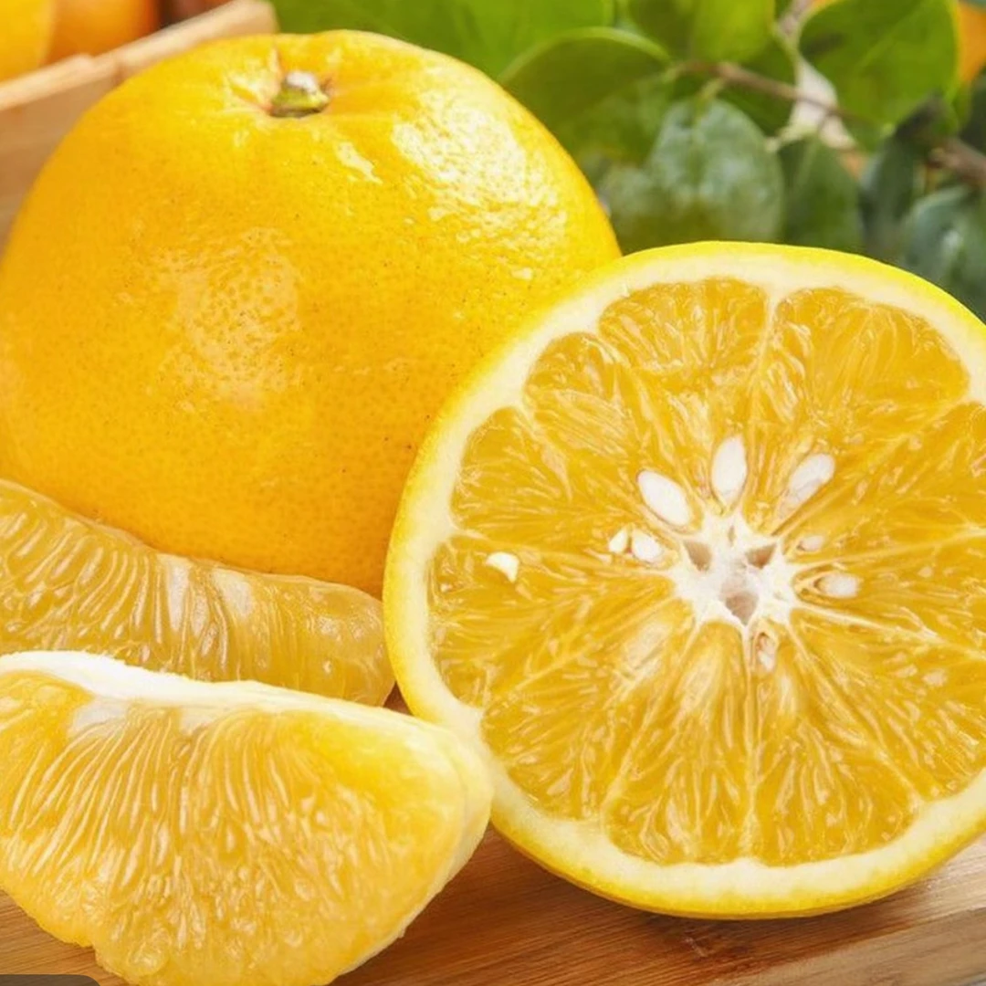 湖南高山自产自销柚子
