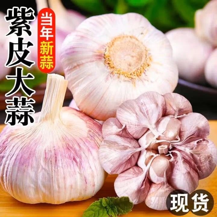 【农家新干蒜】5斤大蒜头新鲜紫白皮大蒜可种农家土蒜大蒜2斤3斤9斤