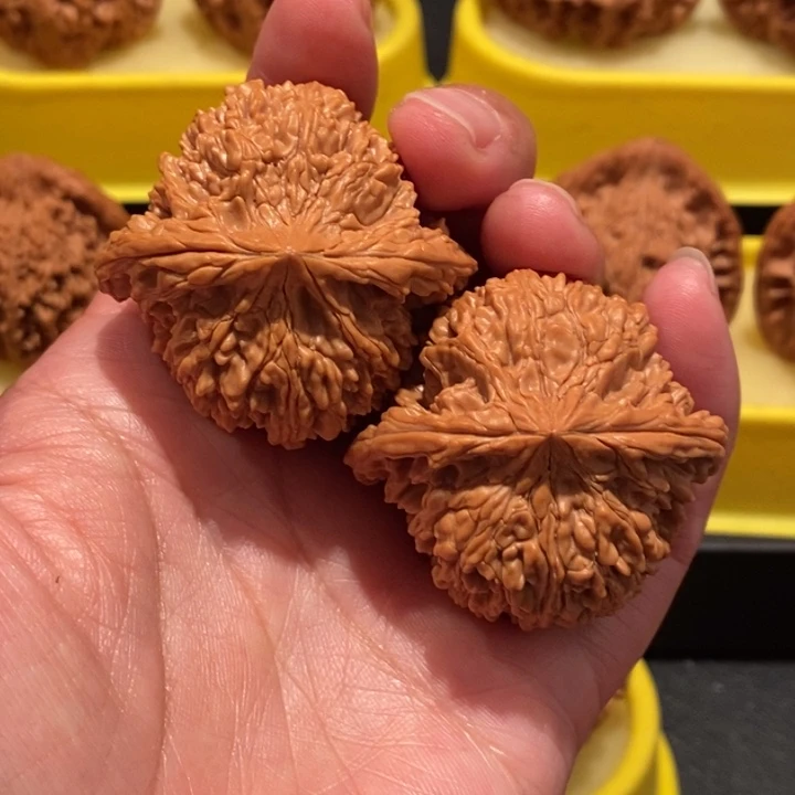 文玩核桃43尺满天星