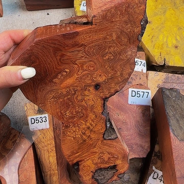 木狗**人小叶羊蹄甲瘤疤料子