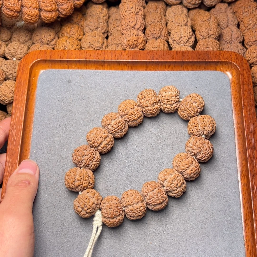 2号尼泊尔大金刚六瓣21梅花蜂窝