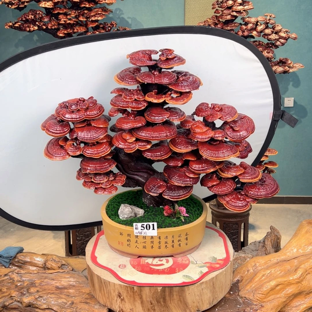 无花朵88888888888