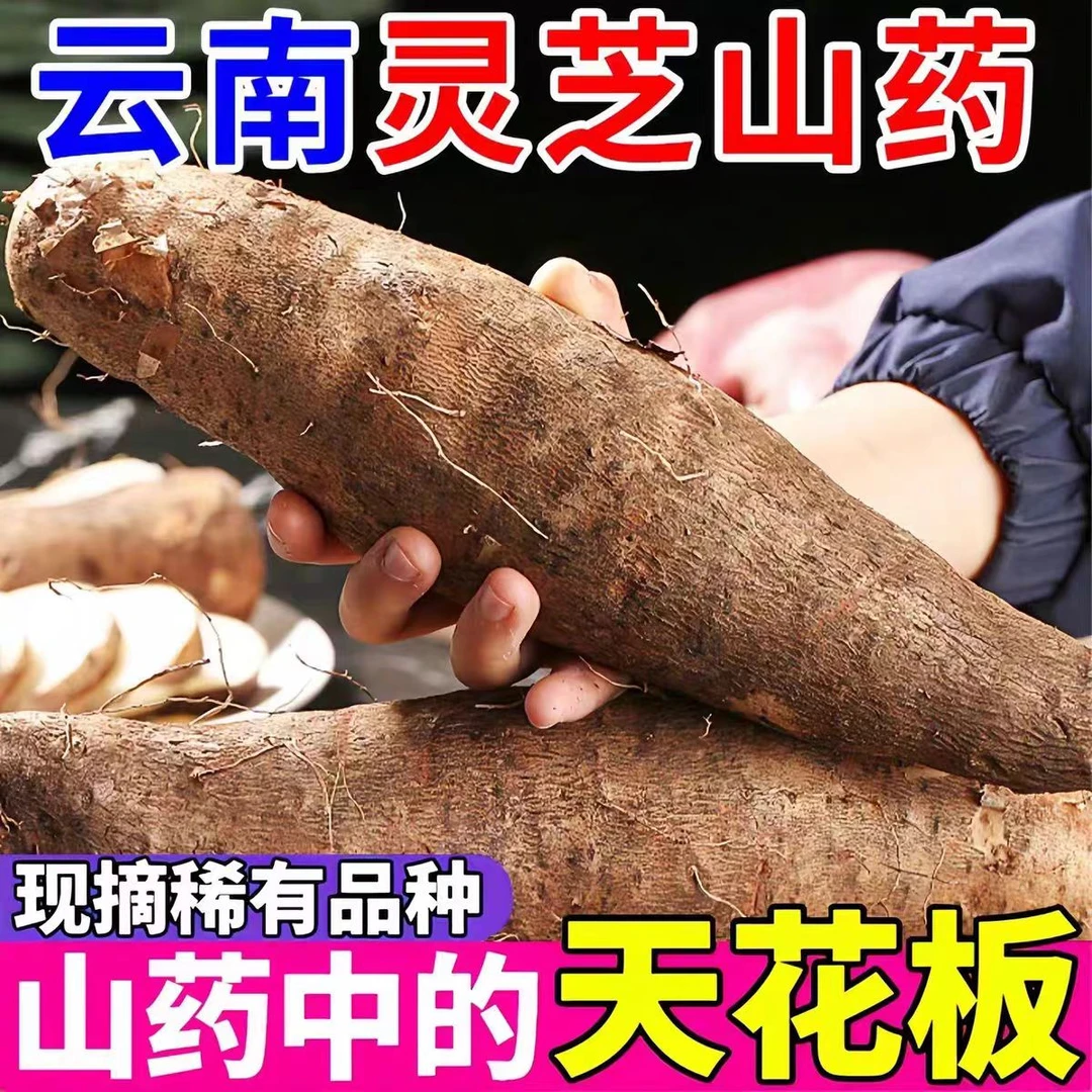 云南特产灵芝山药新鲜粉糯非铁棍秤砣淮山小白嘴蔬菜