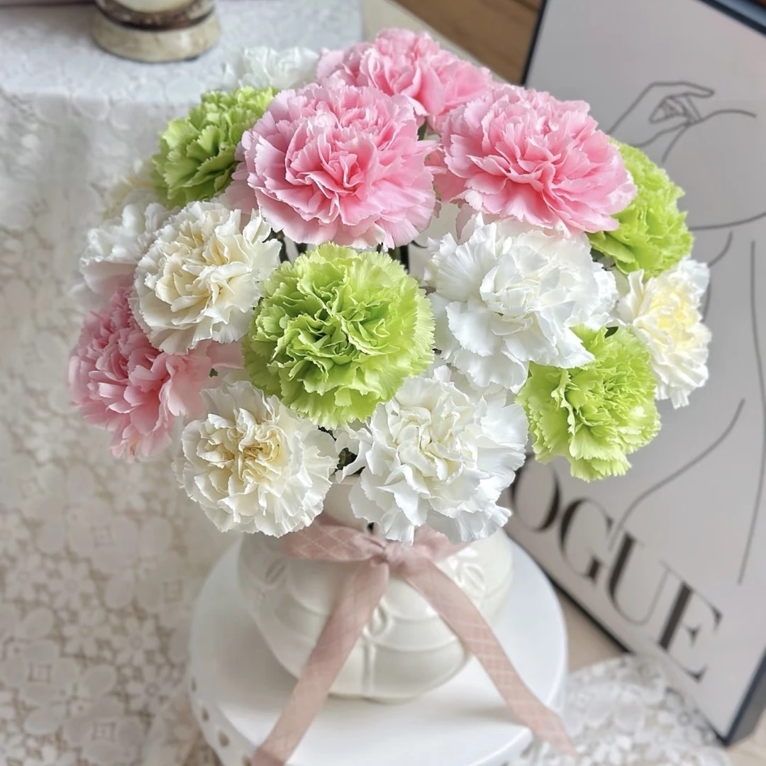 康乃馨散花十枝颜色随机