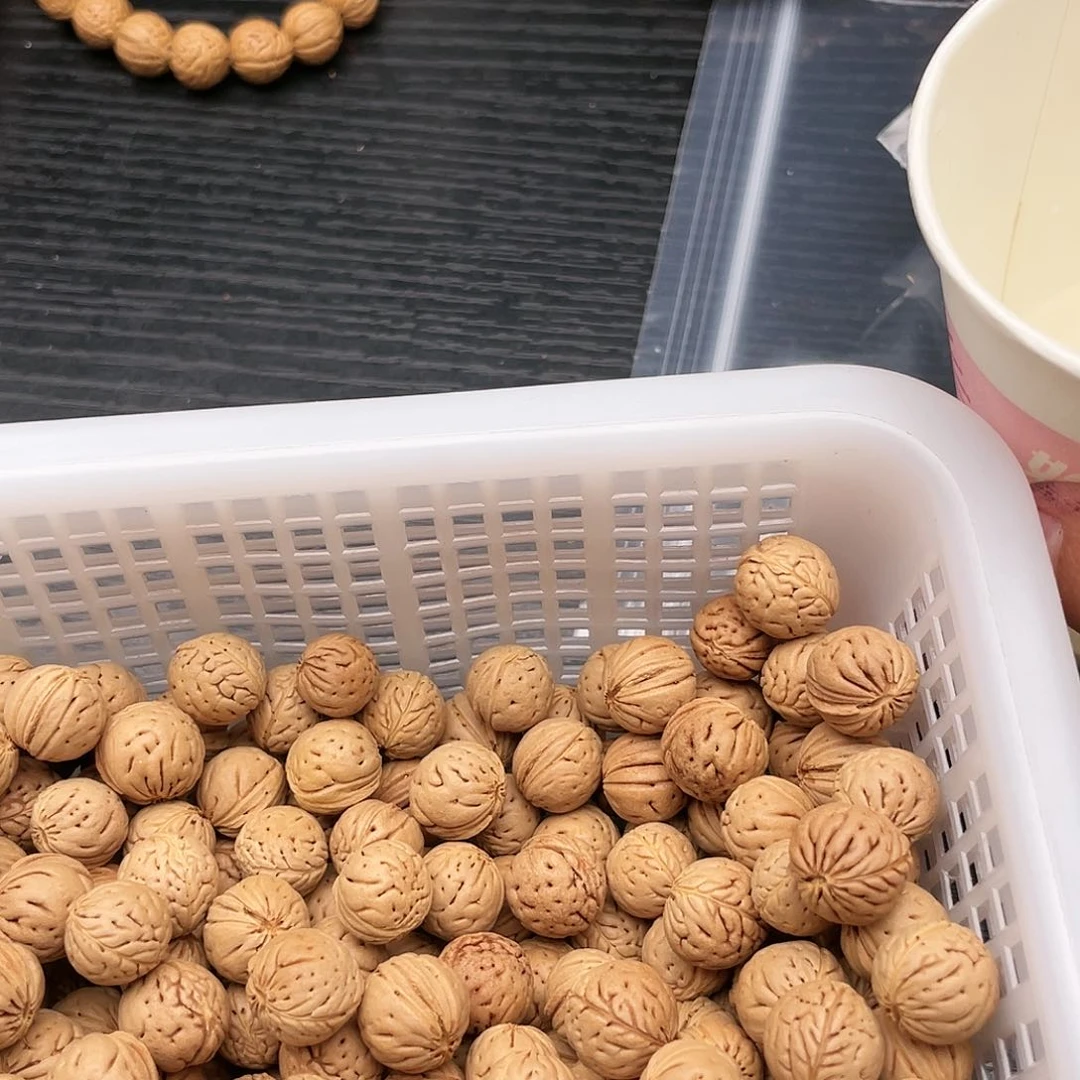 【闪购商品】春***晓散子批发100米