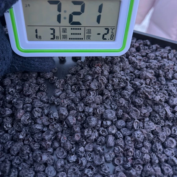 长白山好吃蓝莓干