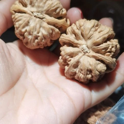 猴头核桃吊坠爱***人42粗筋