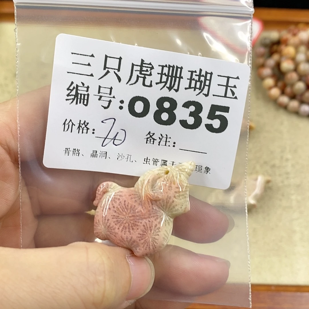硅化珊瑚（珊瑚玉）1未镶嵌m**g