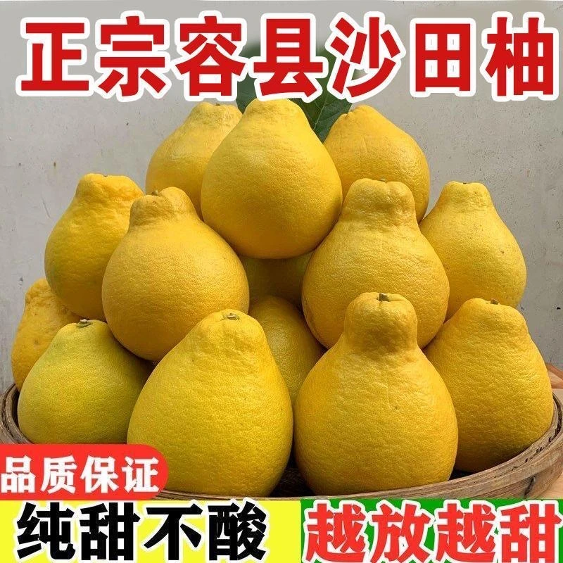 正宗广西容县沙田柚子新鲜现摘当季孕妇水果纯甜白心大果箱装包邮