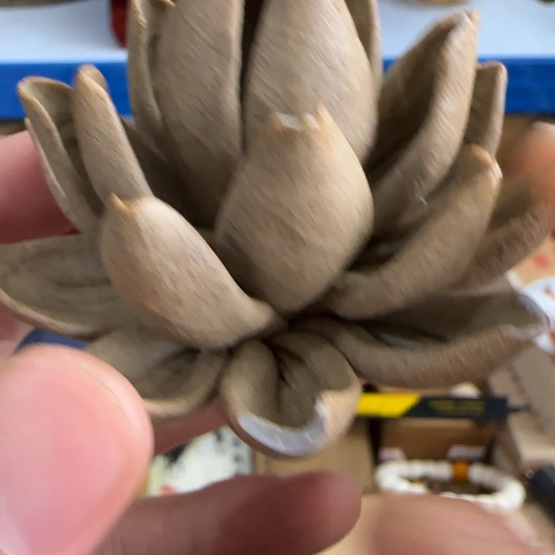 茶宠茶文化，工艺古美术
