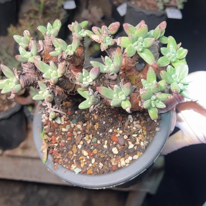 445哈哈哈哈哈哈哈哈