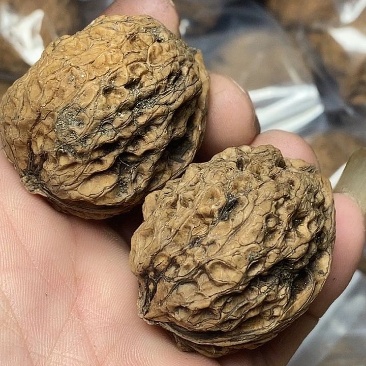 把件文玩核桃云南铁核桃50