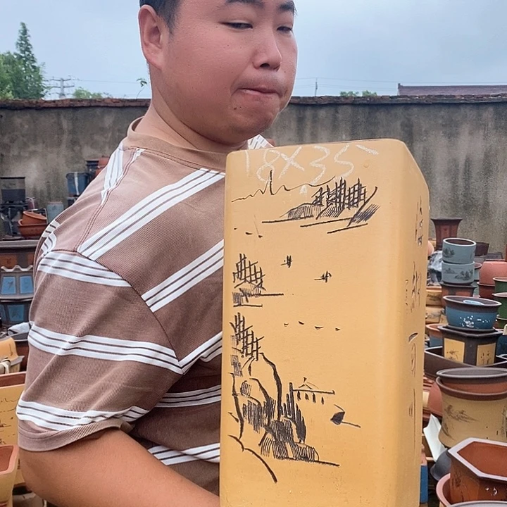 紫砂花盆盆栽植物