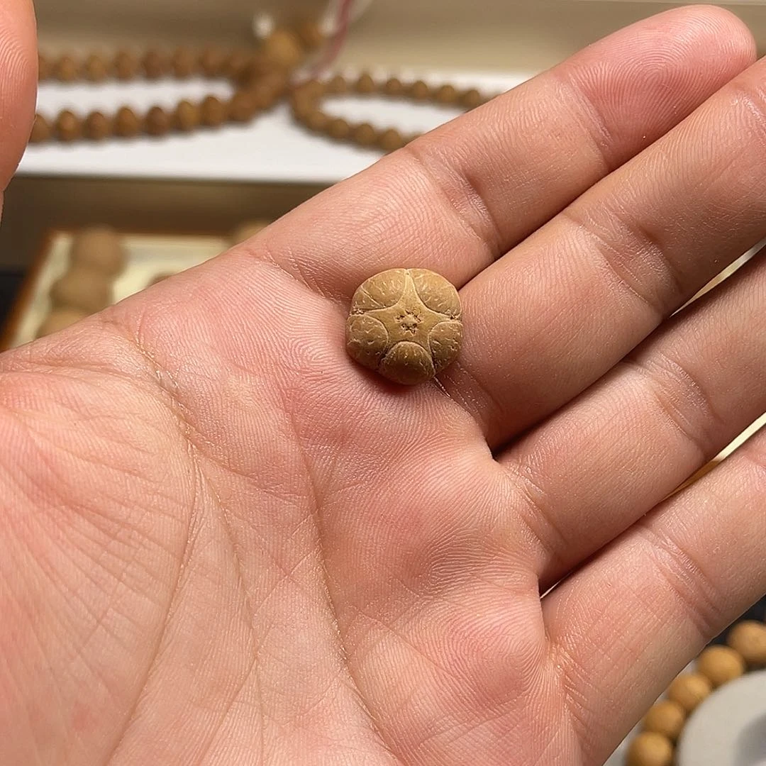 凤眼菩提吊坠晔15mm五星上将凤眼菩提