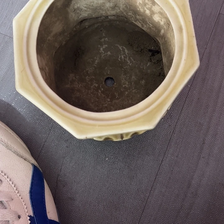 北***洋杂色豆（科檀/科特迪瓦檀木）