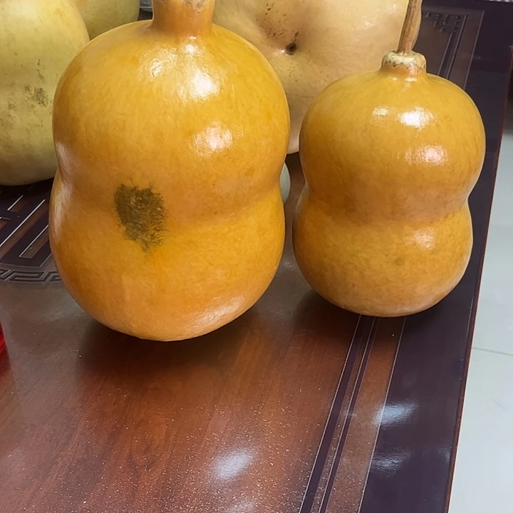 欢***囍胖墩葫芦葫芦葫芦