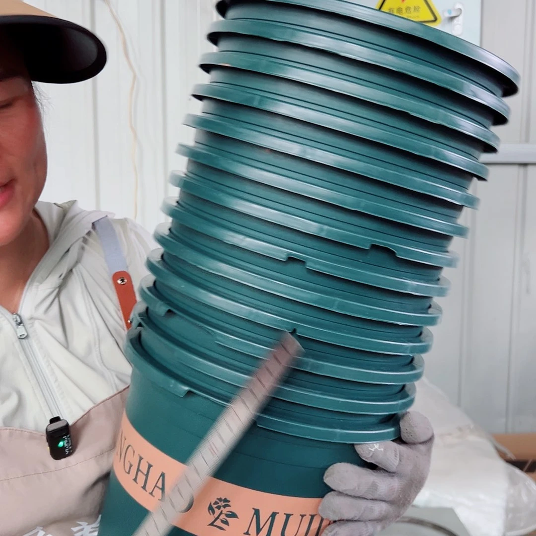 瑕疵5加仑墨绿色10个无托