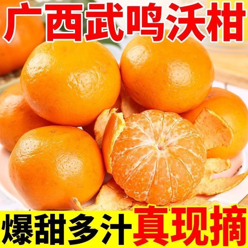 【产地直发】广西武鸣沃柑新鲜应季水果皮薄多汁香甜坏果包赔