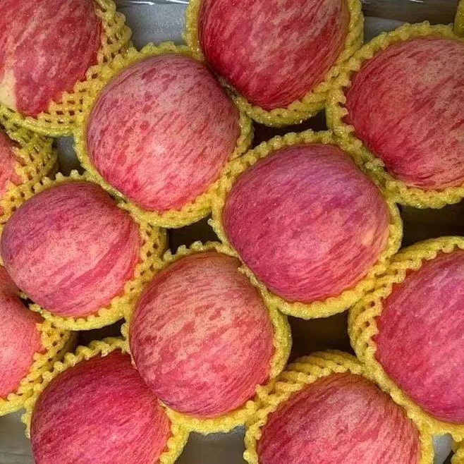 陕西红富士苹果  新鲜咸阳马栏红长武苹果水果