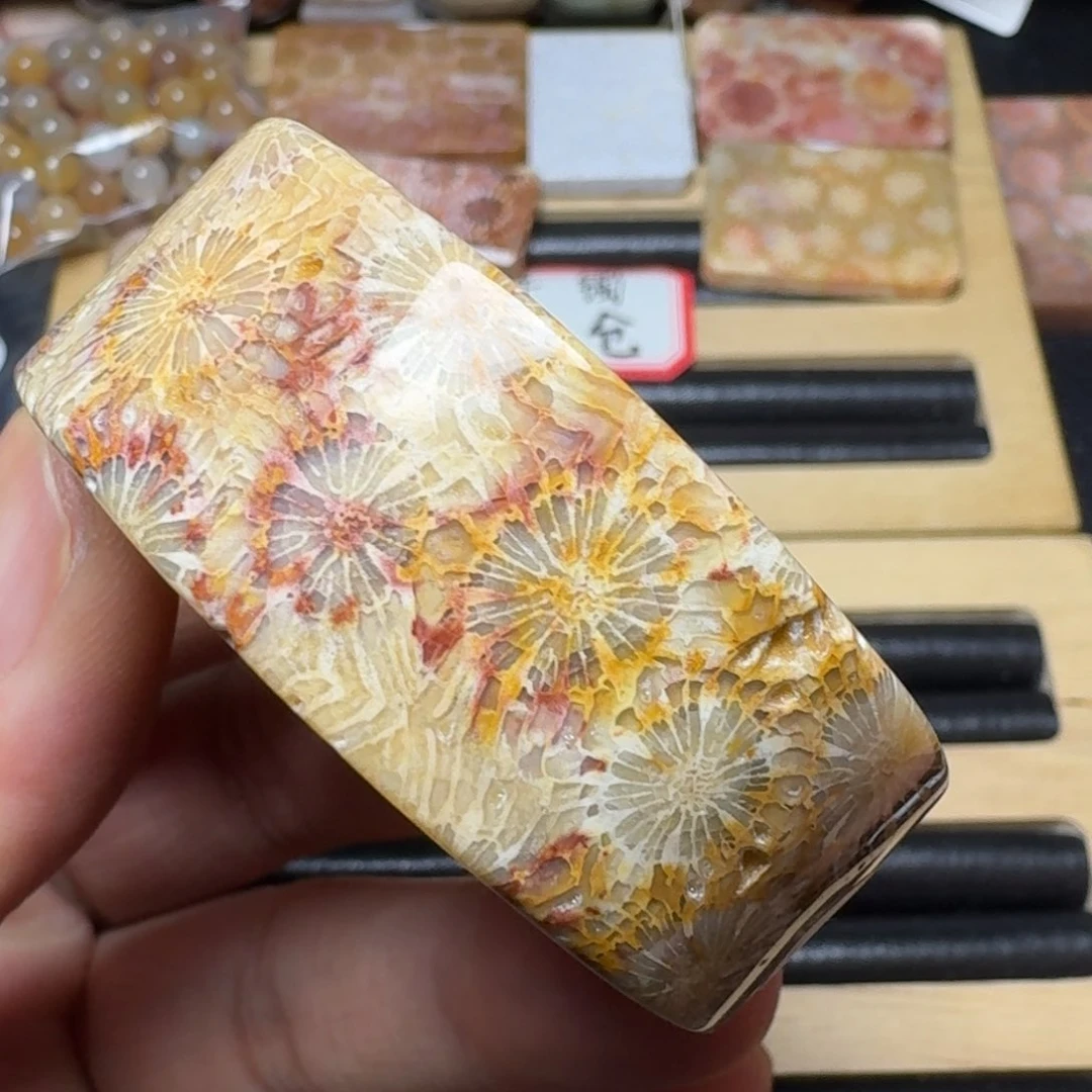 硅化玉纯天然色有机玉石手镯芯未镶嵌