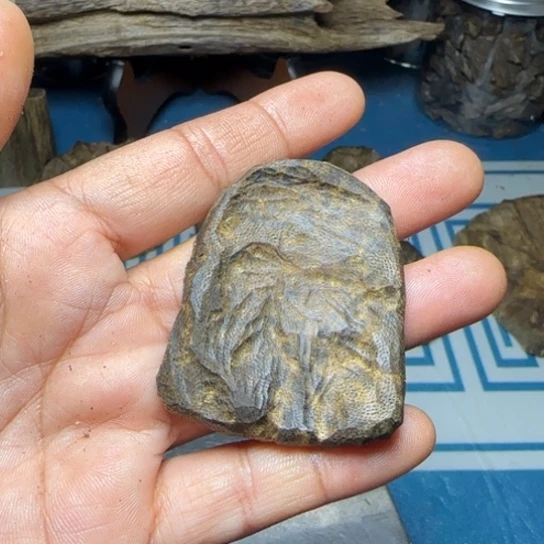 木质母树紫奇包头料6克