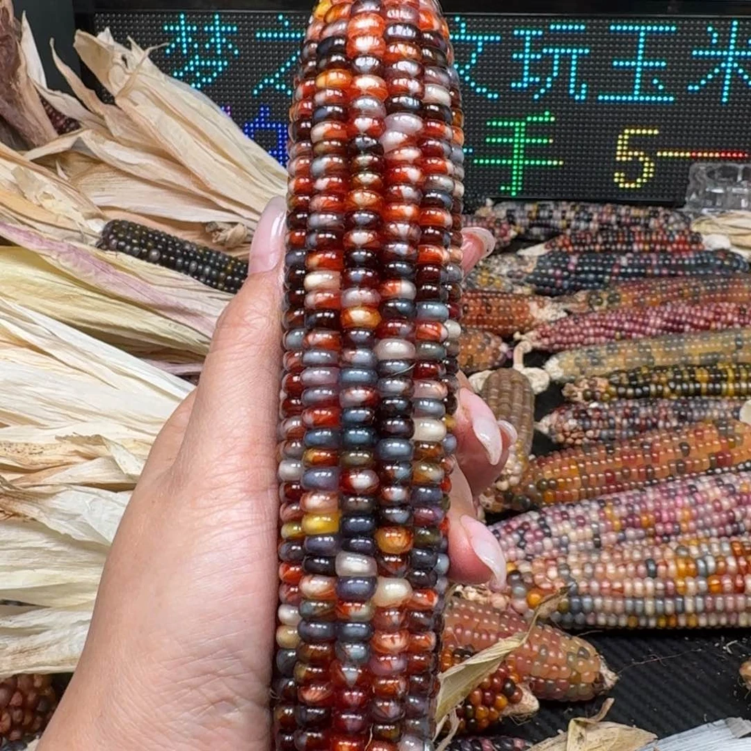 柏香籽/百香籽吊坠念*