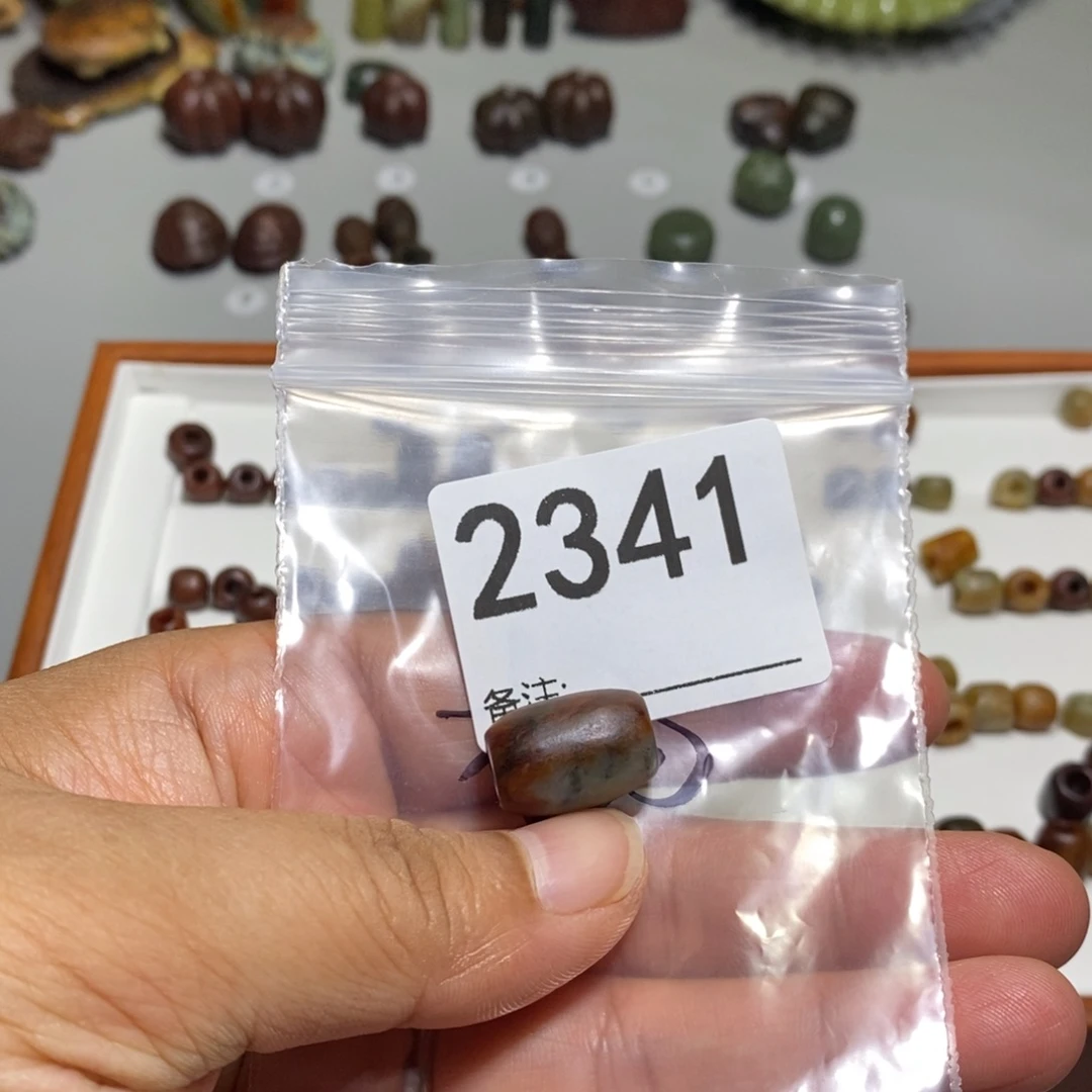 颈饰未镶嵌透闪石质玉杨