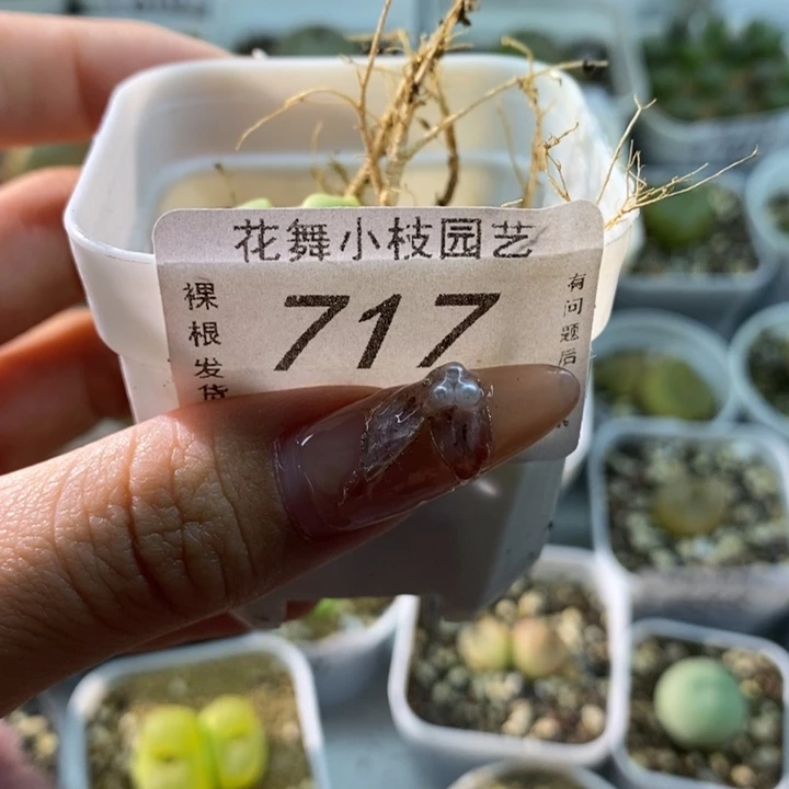 717呵呵呵呵111111111111111