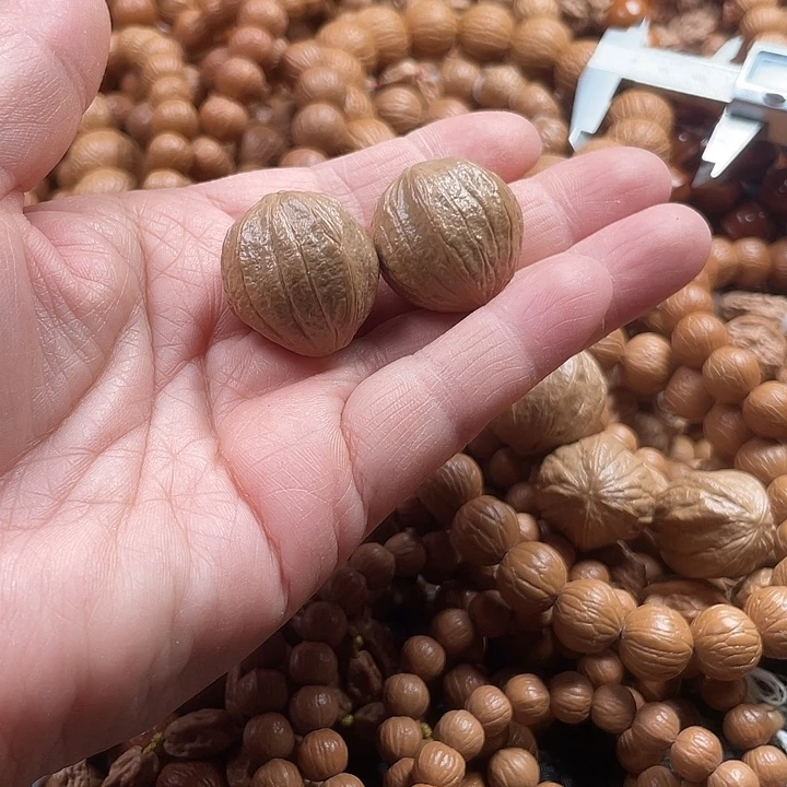 猴头核桃手串2.4龙蛋