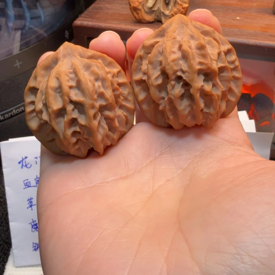 核桃39+曹大龙，，，，