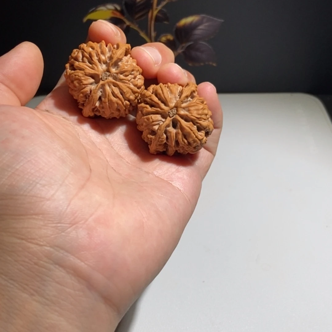 文玩核桃把件?鸭嘴