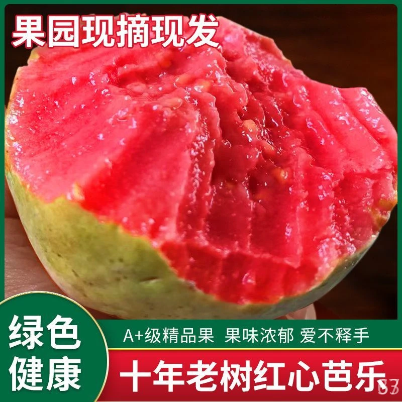 【软糯香甜】正宗广东红心奶油芭乐番石榴鸡屎果低糖水果草莓红肉