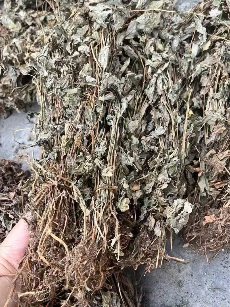 英德大洞乡下晒干野生，煲汤真好喝哈，晒干放旧更好喝哈