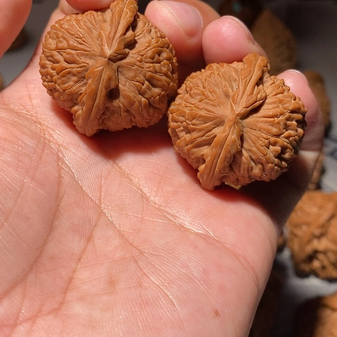 黄***毛文玩核桃把件030白狮子35+全品红皮