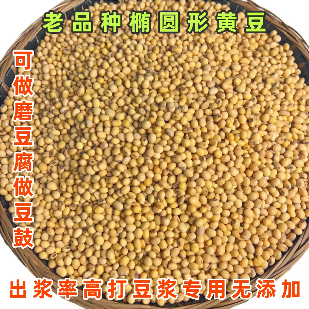 贵州农村露天种植老品种小黄豆打豆浆做豆腐可吃可留种25年新货
