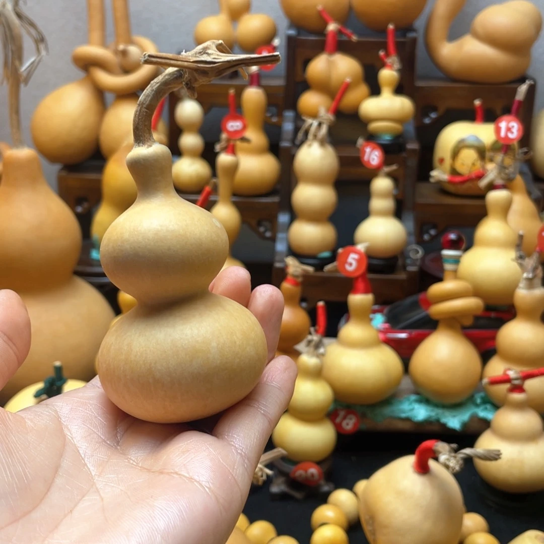 赵*众大自然的秘密第十一章你是