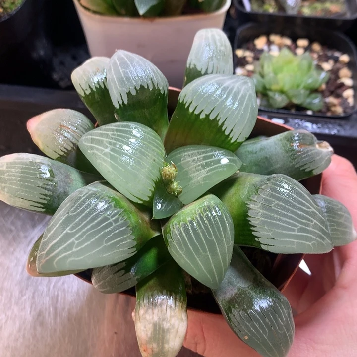 电路板克一物一拍