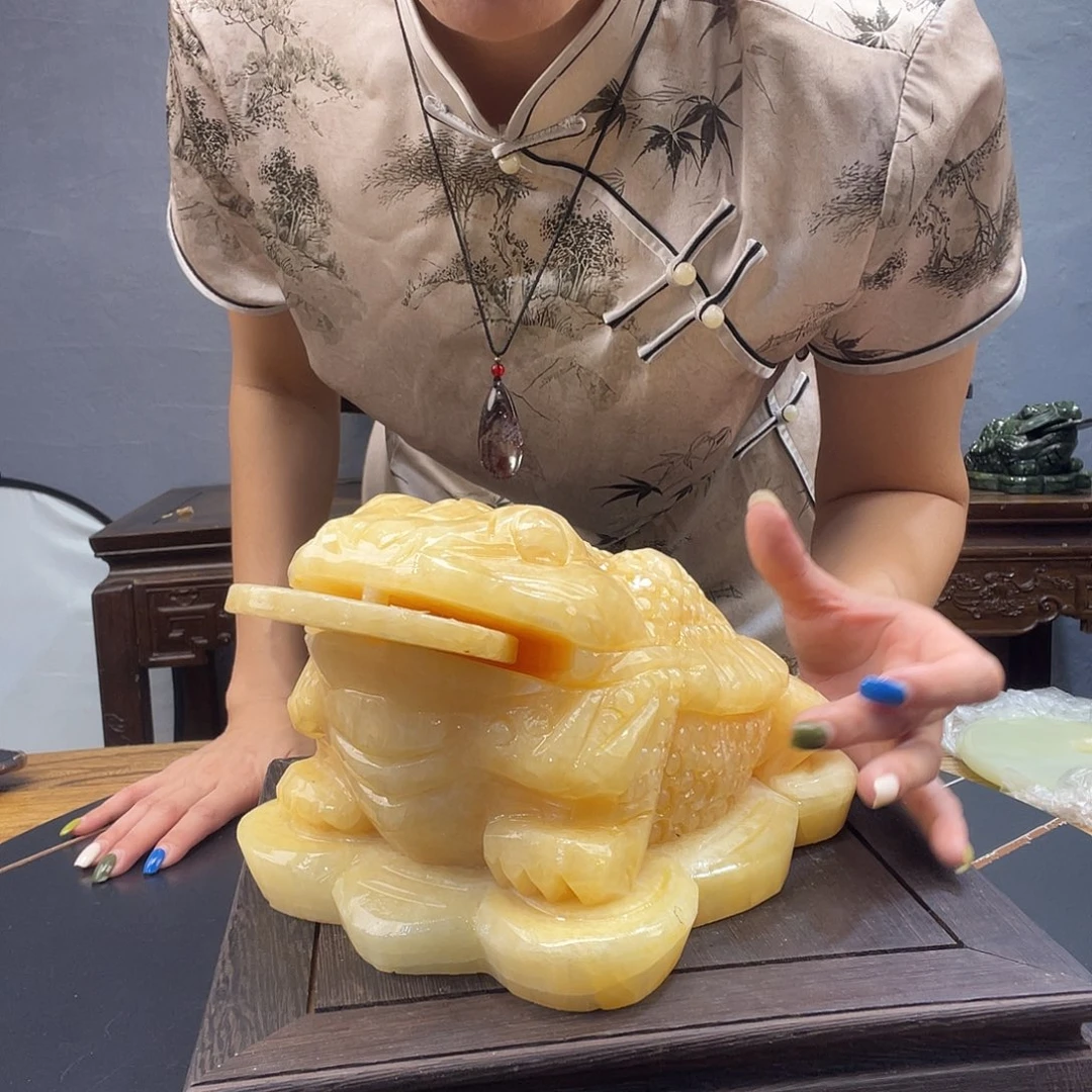 玉米黄玉金蟾1号