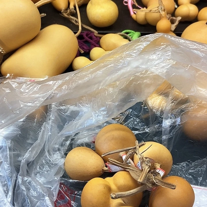 二胖宝子恭喜发财