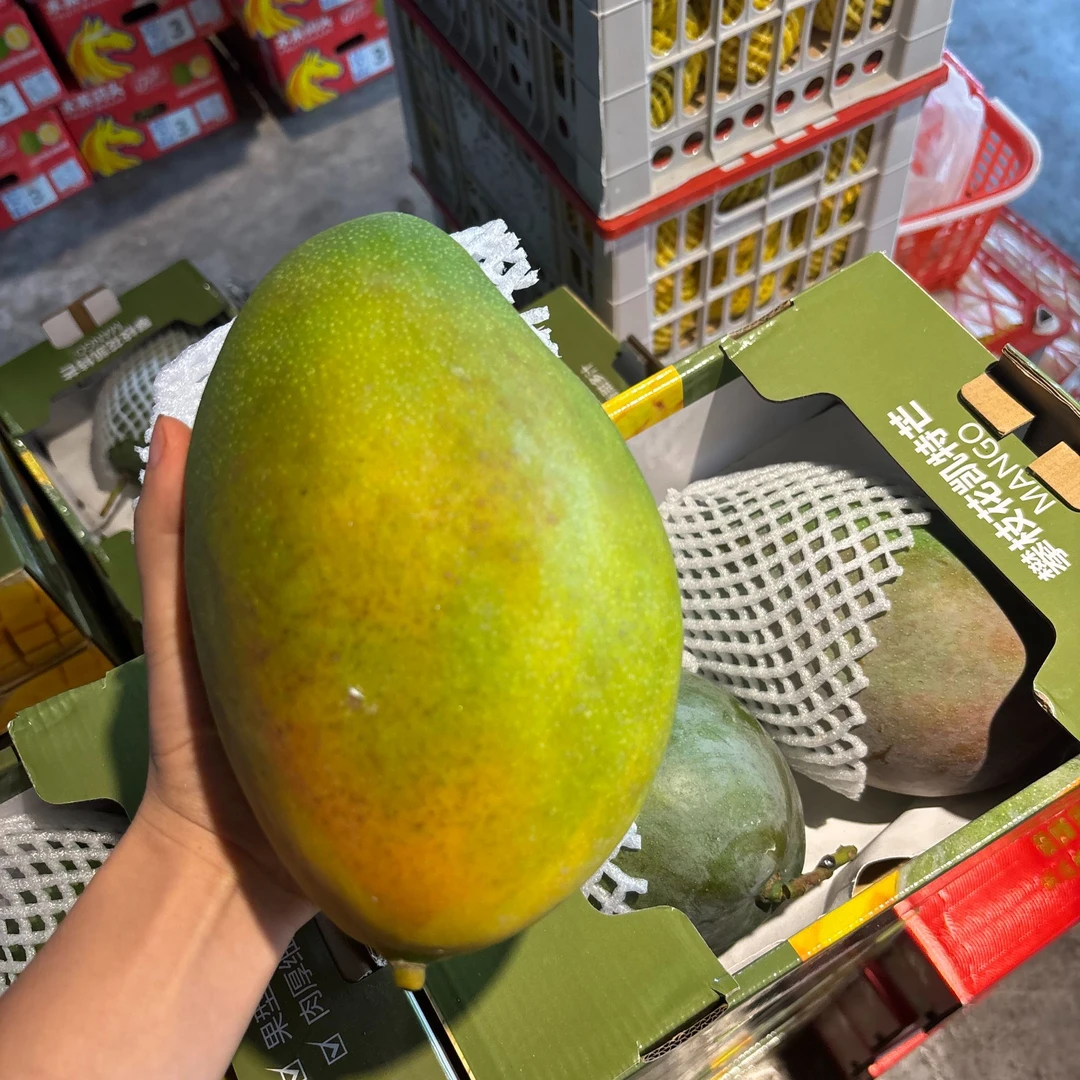攀枝花凯特芒 小件装2300g