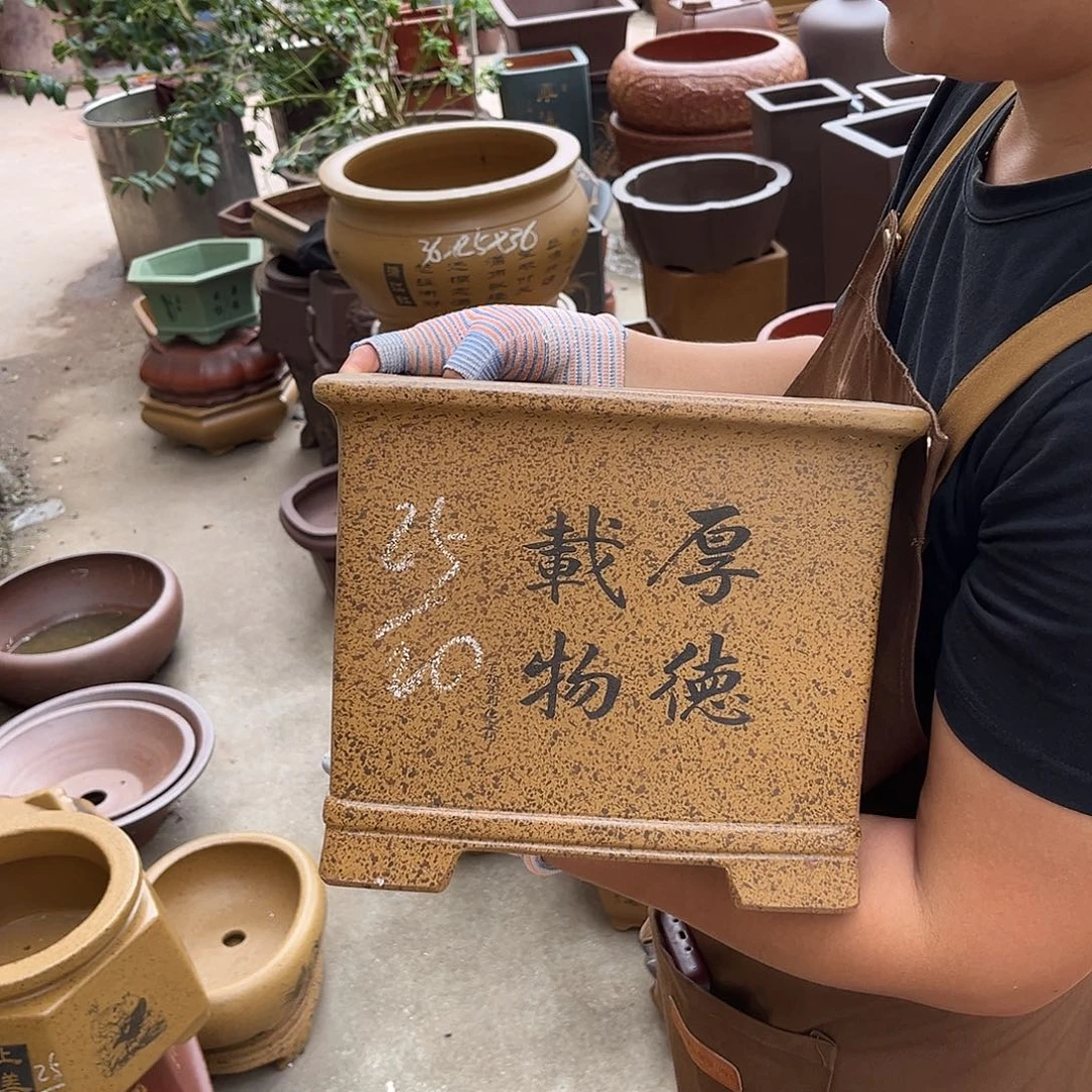 紫砂花盆盆景艺术